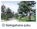 Sekigahara-juku